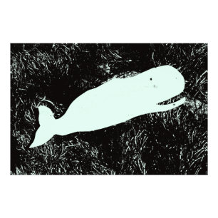 fotografía de ballena blanca impresa