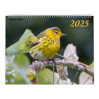 Fotografía de Bellas Aves 2025 Calendario Bluebird