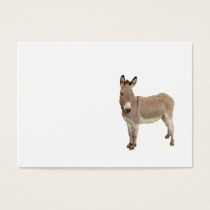 Fotografía de Burro de burro burro burro