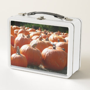 Fotografía de calabazas para Caída, Halloween o Dí