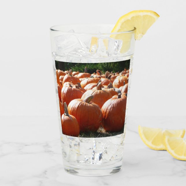 Fotografía de calabazas para Caída, Halloween o Dí (Reverso (hielo))