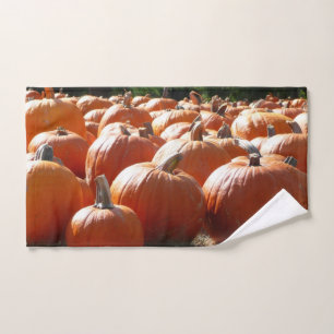 Fotografía de calabazas para Caída, Halloween o Dí