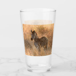 Fotografía de cebra folia en la mañana del amanece