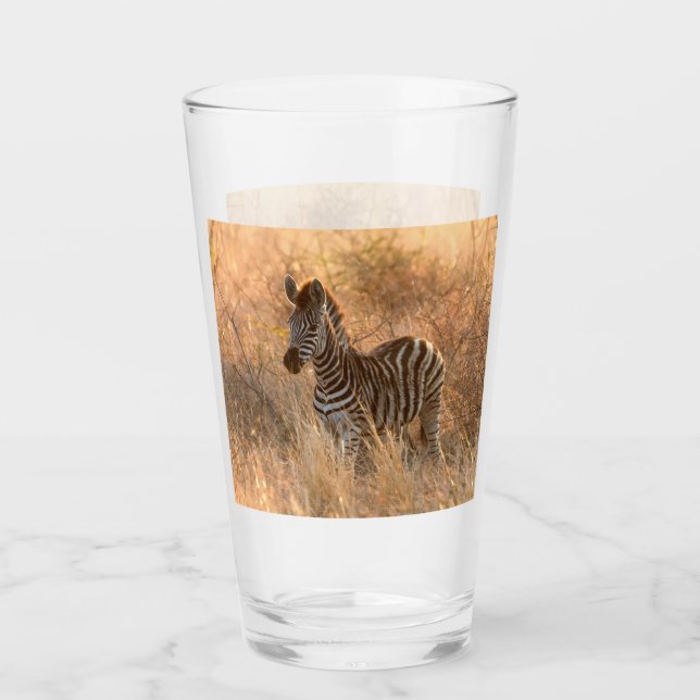 Fotografía de cebra folia en la mañana del amanece (Anverso)