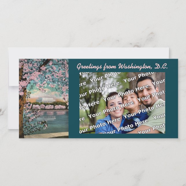 Fotografía de cerezos en flor (Anverso)