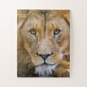 FOTOGRAFÍA DE CIERRE DE LION JIGSAW PUZZLE