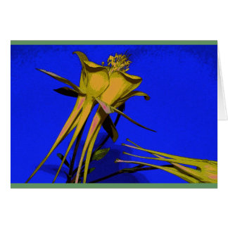 Fotografía de columbine amarillo