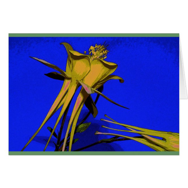 Fotografía de columbine amarillo (Anverso (Horizontal))