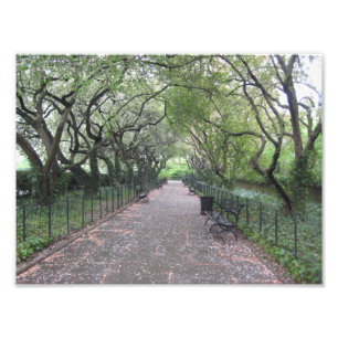 Fotografía de Conservatory Garden Central Park NYC
