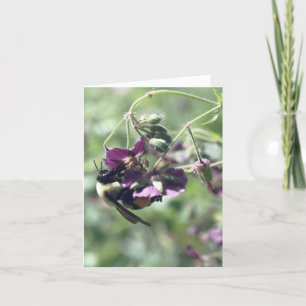 Fotografía de flor con abeja con polen