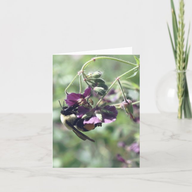 Fotografía de flor con abeja con polen (Anverso)