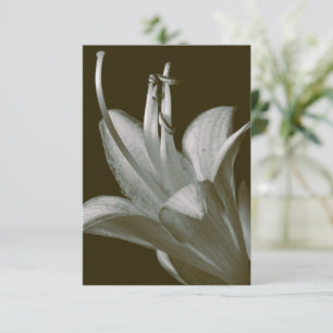 Fotografía de Flor Hosta, Elegante Sepia Vintage