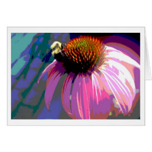 Fotografía de flor rosa Echinacea