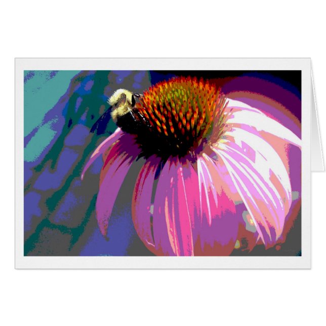 Fotografía de flor rosa Echinacea (Anverso (Horizontal))