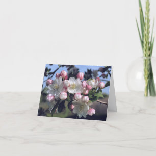 Fotografía de flores de hermosas flores