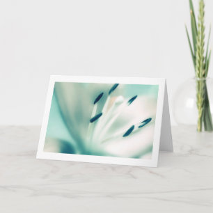 Fotografía de flores de Lily, tarjetas especiales 
