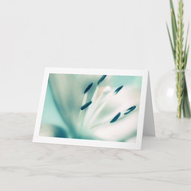 Fotografía de flores de Lily, tarjetas especiales  (Anverso)