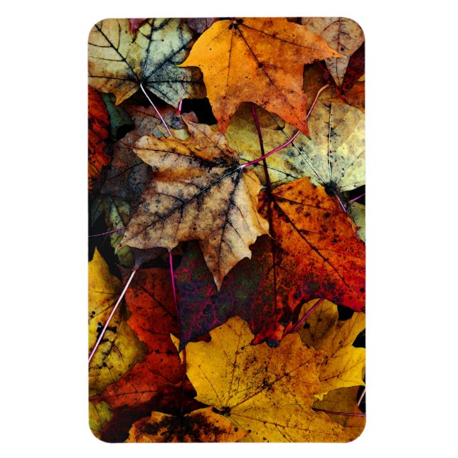 Fotografía de follaje de otoño - Imán flexible (Vertical)