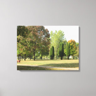 Fotografía de hermosas hojas de otoño del arte de