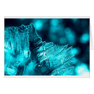 Fotografía de hielo turquesa