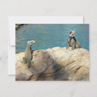 Fotografía de Iguanas y Vida Silvestre Tropical