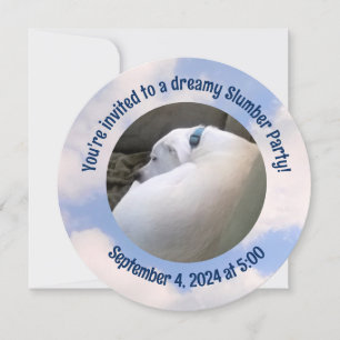 Fotografía de la invitación a la fiesta de los per