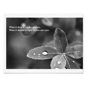 Fotografía de la meditación del Mindfulness del