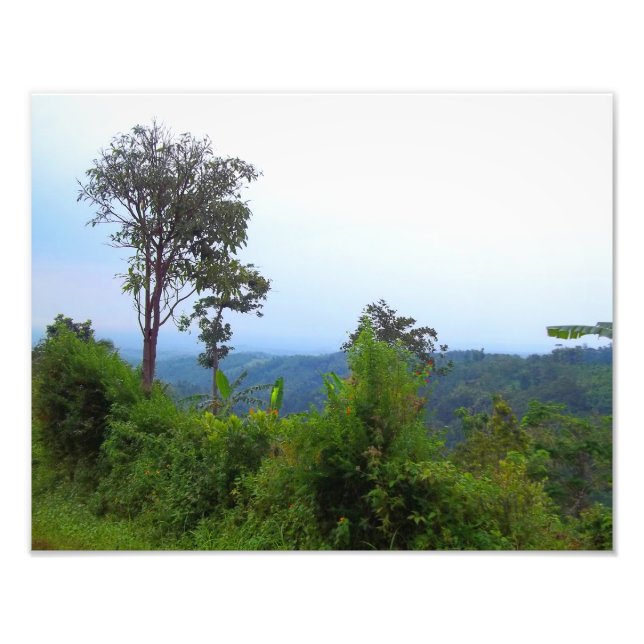Fotografía de la Naturaleza (Frente)