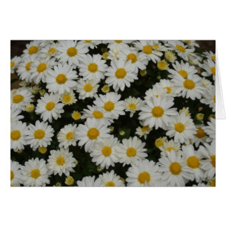 Fotografía de la naturaleza