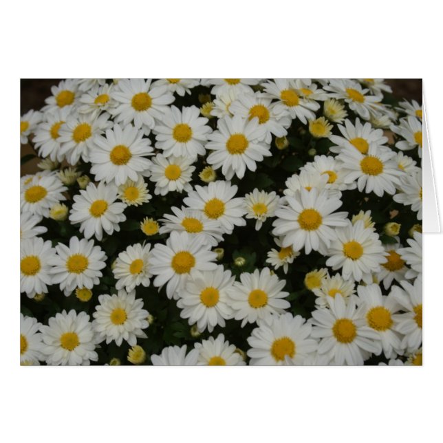 Fotografía de la naturaleza (Anverso (Horizontal))