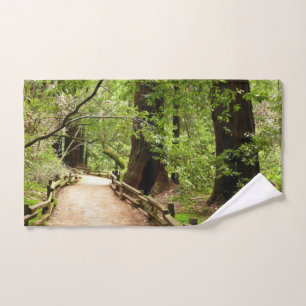 Fotografía de la Naturaleza de Camino II de Muir W