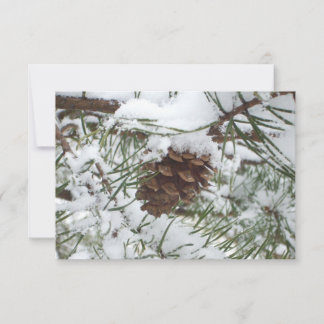 Fotografía de la naturaleza de la nieve de Pine Co