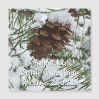 Fotografía de la naturaleza de la nieve de Pine Co