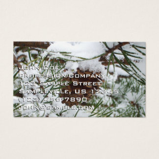 Fotografía de la naturaleza de la nieve de Pine Co