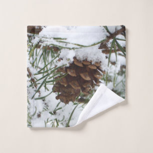 Fotografía de la naturaleza de la nieve de Pine Co