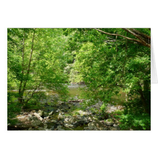 Fotografía de la naturaleza de Maryland con vistas