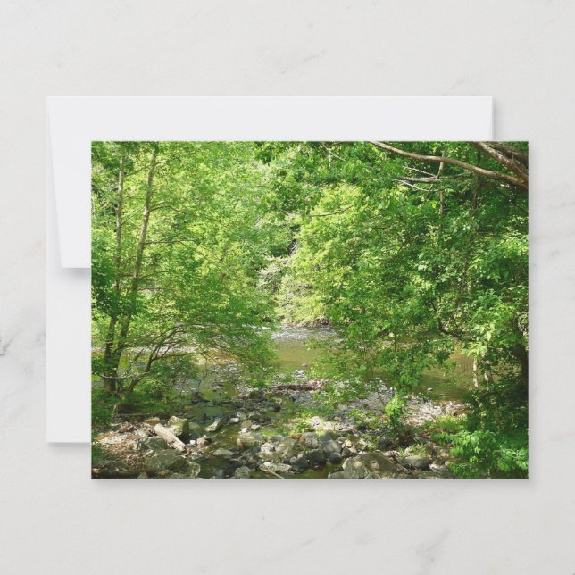 Fotografía de la naturaleza de Maryland con vistas (Anverso)