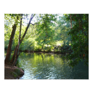 Fotografía de la naturaleza de Oak Creek I en Sedo