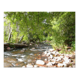 Fotografía de la naturaleza de Oak Creek II en Sed