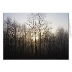 Fotografía de la naturaleza del amanecer de niebla