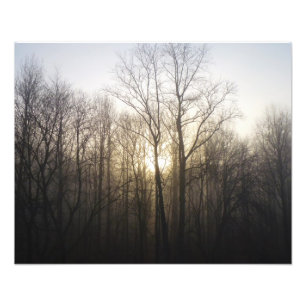 Fotografía de la naturaleza del amanecer de niebla