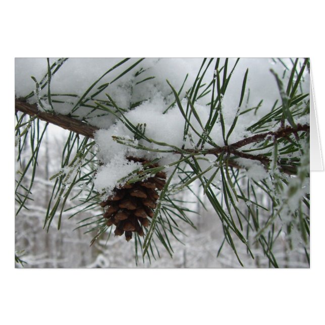 Fotografía de la naturaleza del invierno de la ram (Anverso (Horizontal))