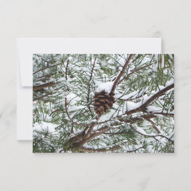 Fotografía de la naturaleza del invierno de Snowy  (Anverso)