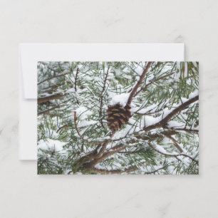 Fotografía de la naturaleza del invierno de Snowy
