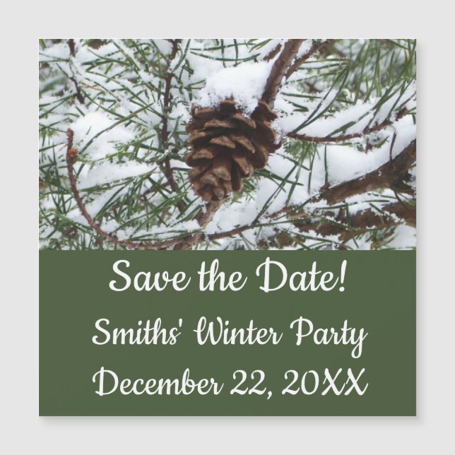 Fotografía de la naturaleza del invierno de Snowy  (Anverso)