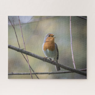 Fotografía de la naturaleza Robin Jigsaw Puzzle