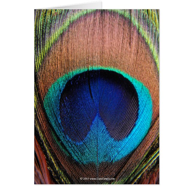 Fotografía de la película de pavo real macroeconóm (Frente)
