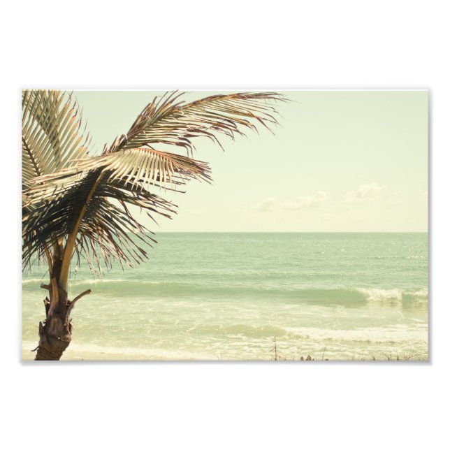 Fotografía de la playa de Coconut Palm and Pastel (Frente)