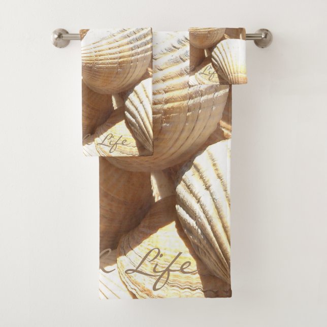 Fotografía de las conchas marinas Vida en la playa (In situ)