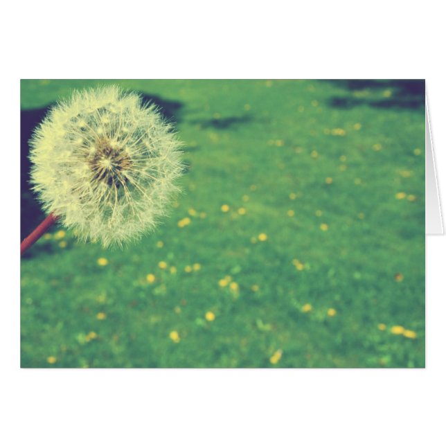 Fotografía de los deseos de primavera vintage (Anverso (Horizontal))